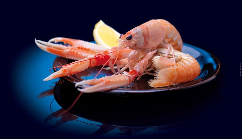 Креветки лангустины живые