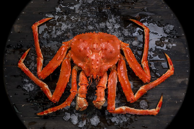 Камчатский Королевский краб