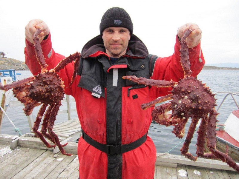 Териберка камчатские Крабы