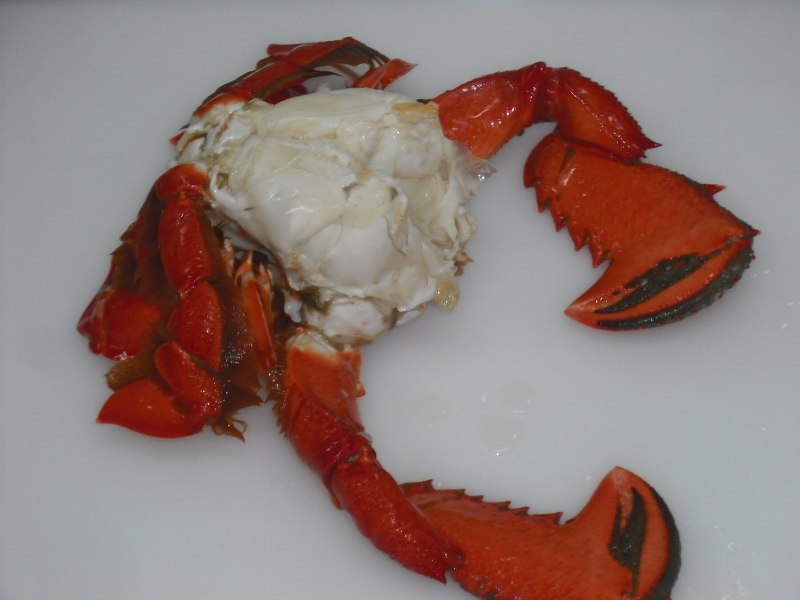 Хвост краба Камчатского