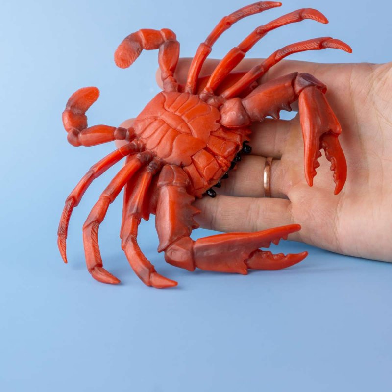 Клешни краба