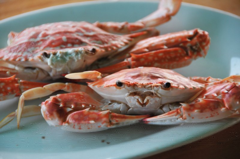 Краб на тарелке