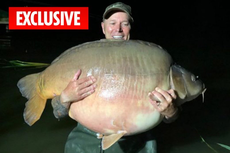 Плавающие животные