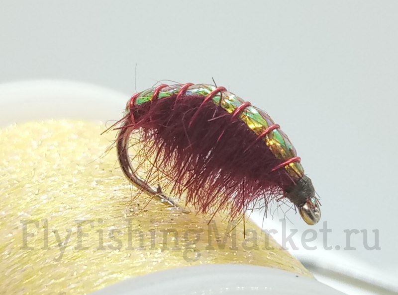 Цикада бокоплав