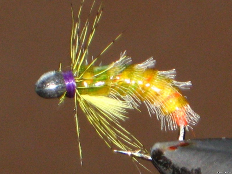 Обманка бокоплав