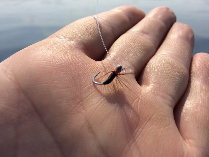 Мушка Hydropsyche nymph