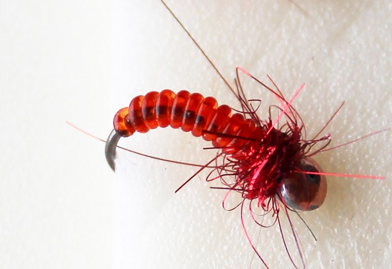 Ручейник зимний