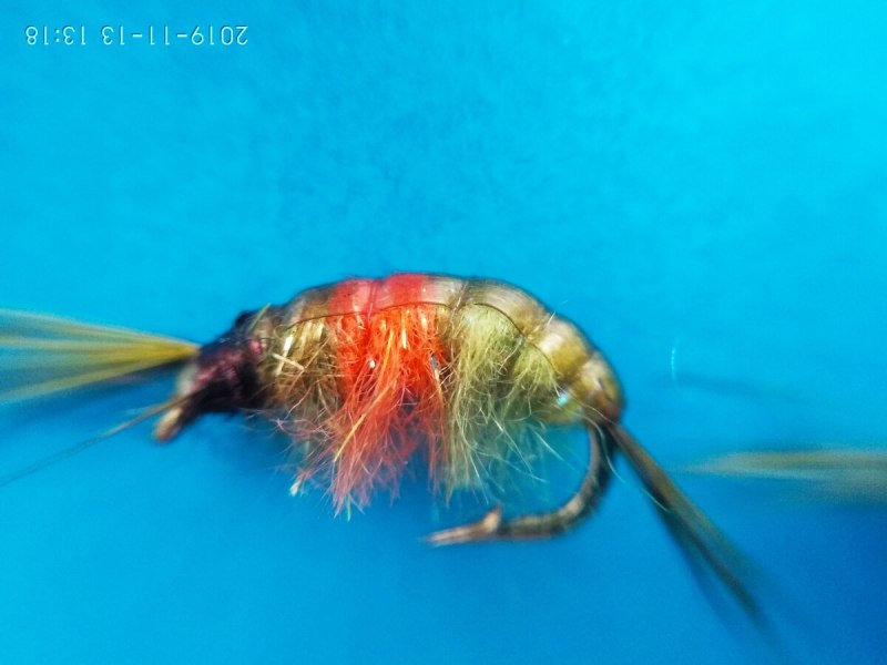 Муха бокоплав