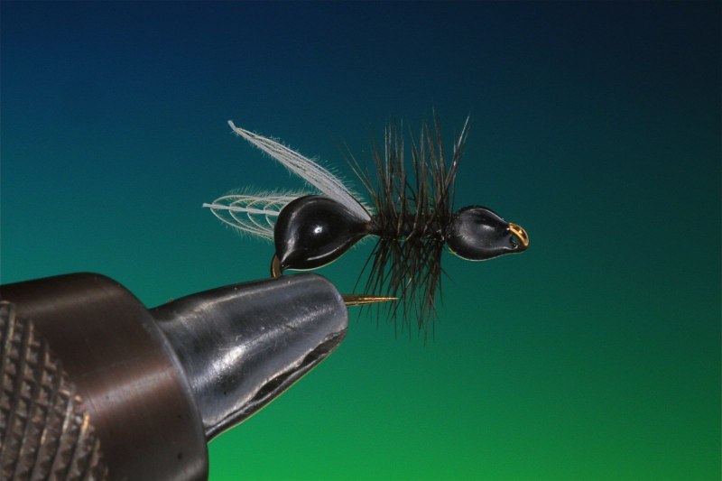 Рачок эпишура Байкальская