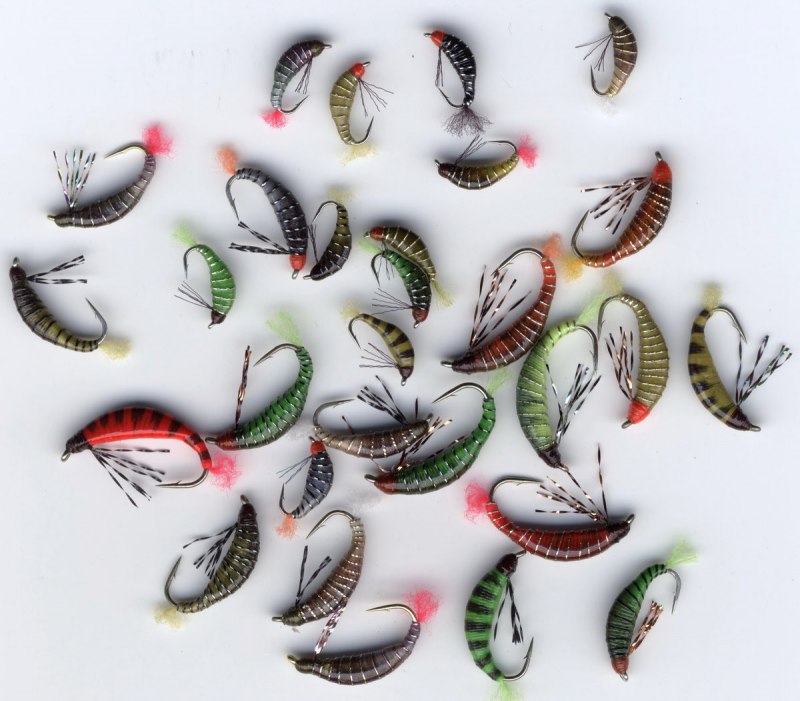 Креветки МИЗИДЫ