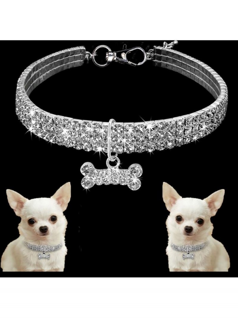 Золотой ошейник выставка собак