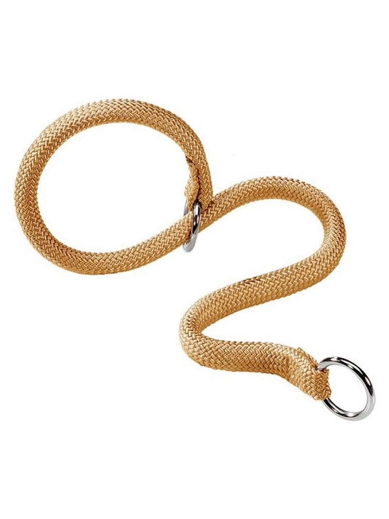 Золотой ошейник французский бульдог