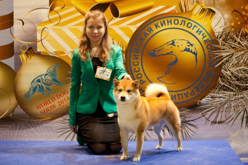 Ошейник от клещей для собак Инсектал