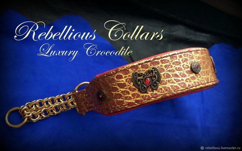 Ошейник для кошек с колокольчиком 1,0*30см ек36�819 Адель