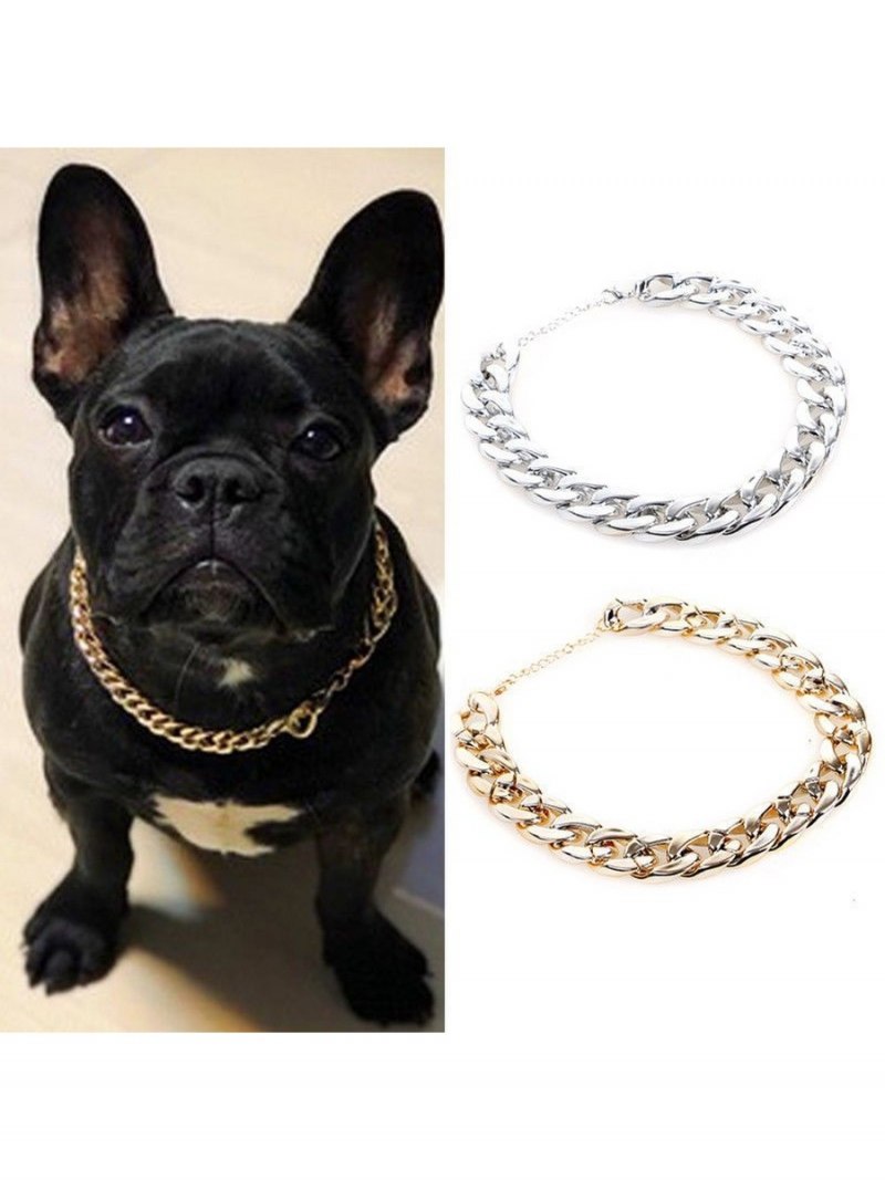 Золотой ошейник 2019 выставка собак