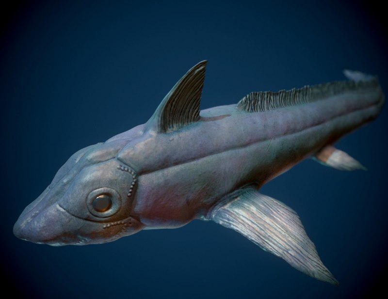 Голубая акула (синяя акула)