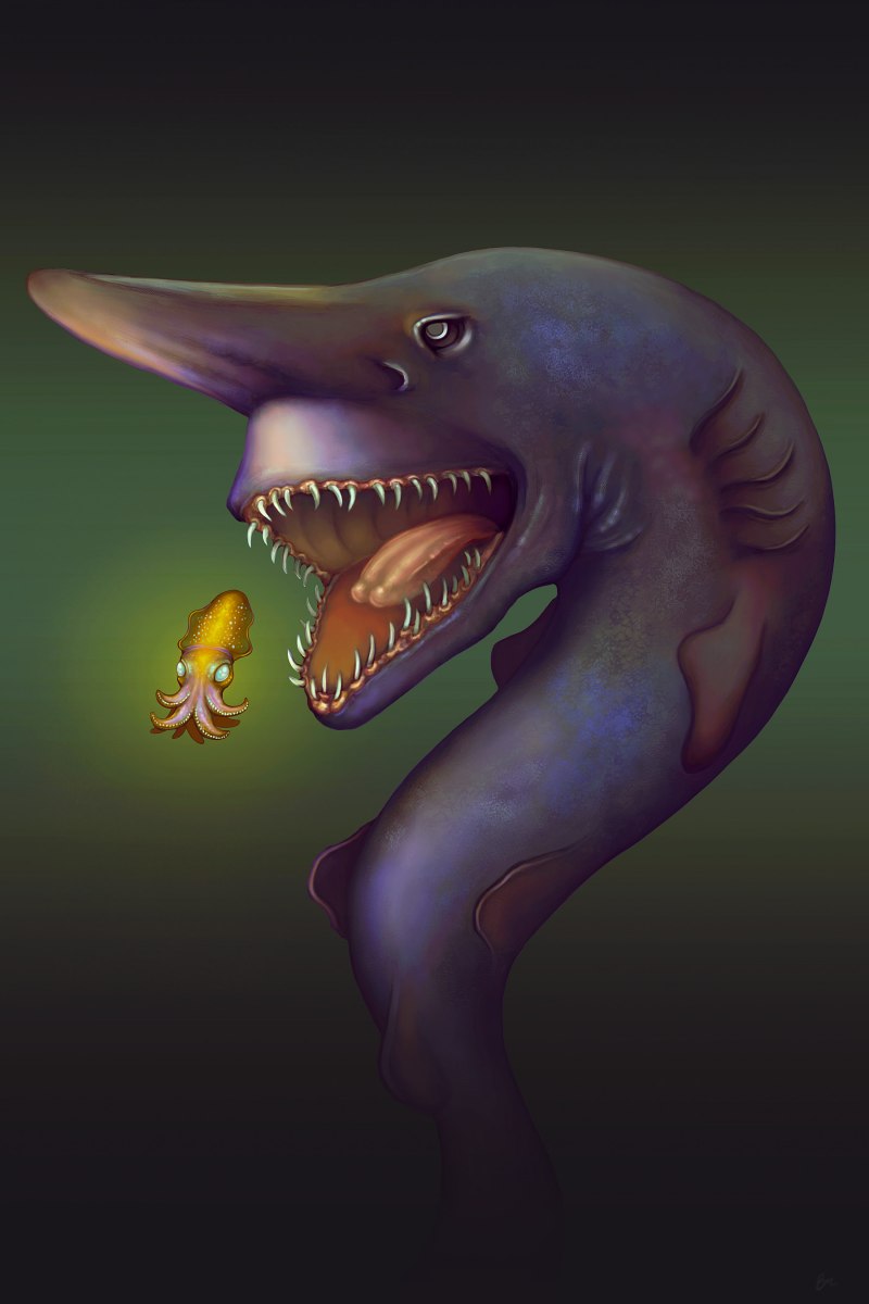 Рыба плащеносная акула