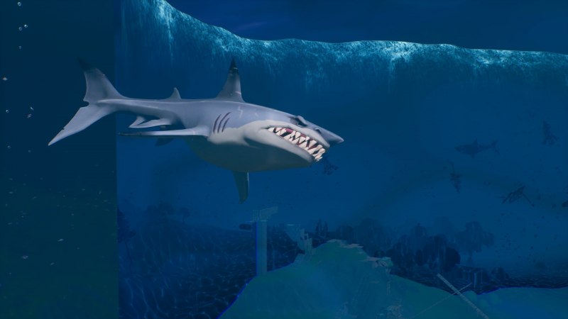 Карликовая колючая акула