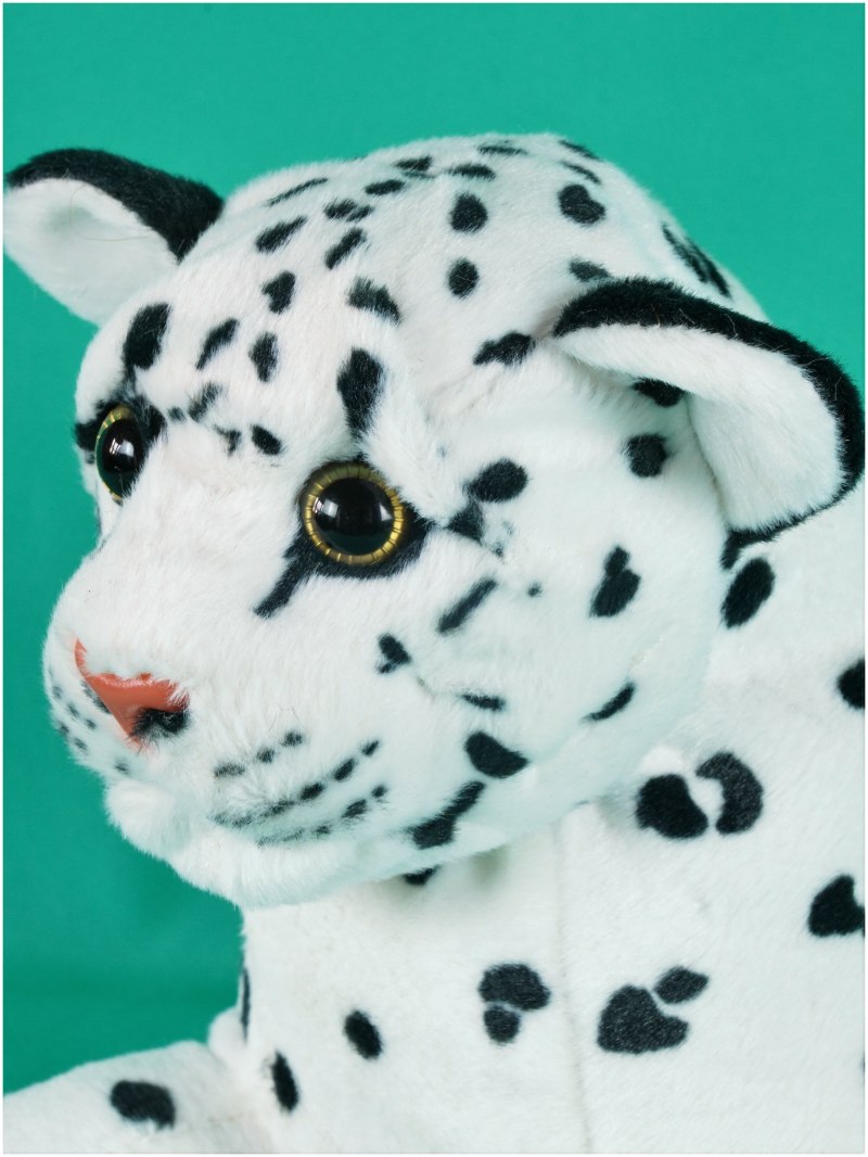 Снежный Барс Ирбис оскал