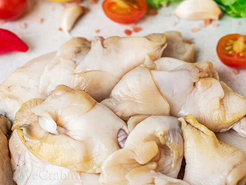 Трубач моллюск