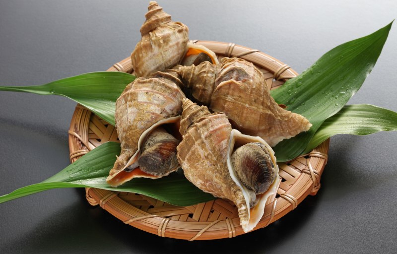 Трубач моллюск мясо