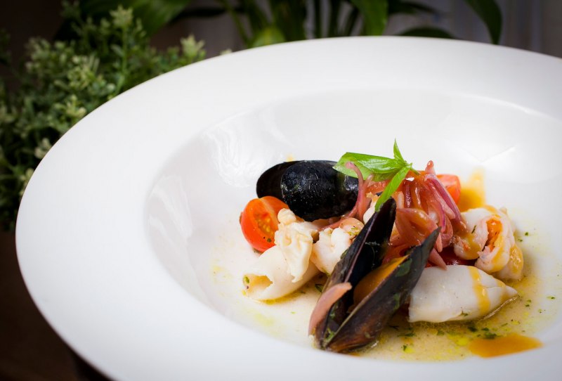 Трубач брюхоногий моллюск