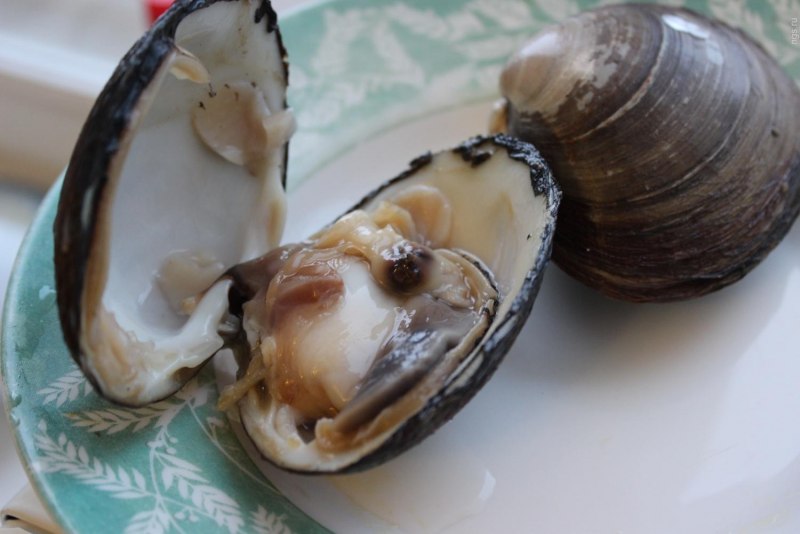 Морепродукты трубач Дальневосточный