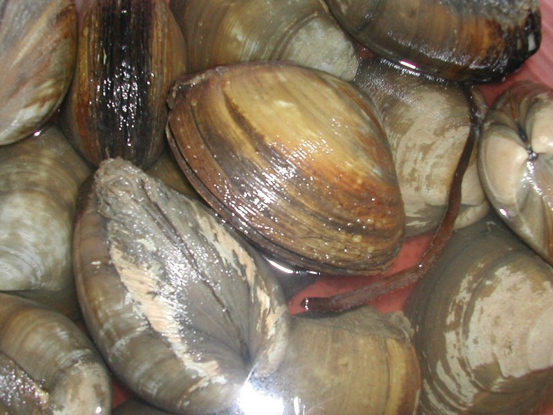 Трубач Луи Армстронг