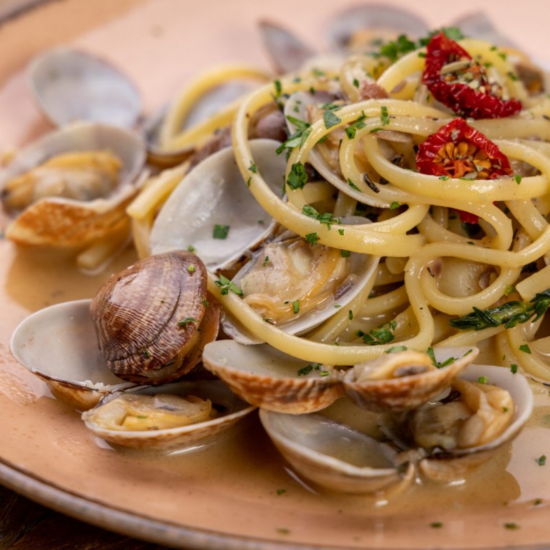 Морская раковина бусикон