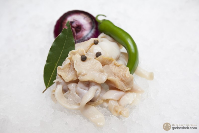 Военный горнист