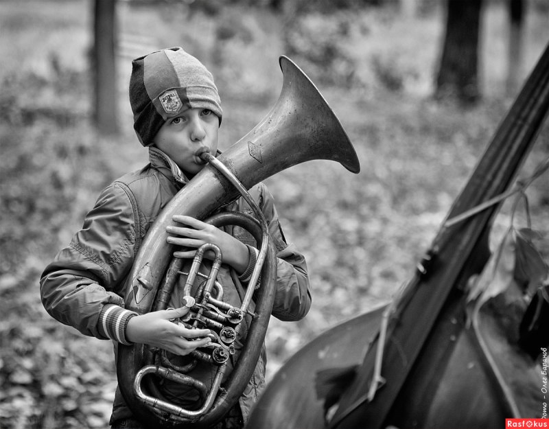 Австралийский трубач