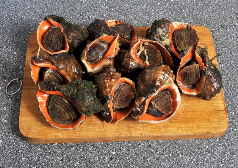 Виртуозные рисунки карандашом