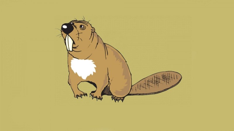 Ондатра лапки