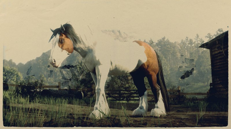 Лошадь азарт