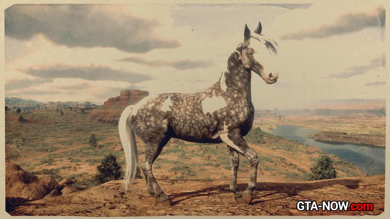 Кудряшов коневодство на Северном Кавказе 1930