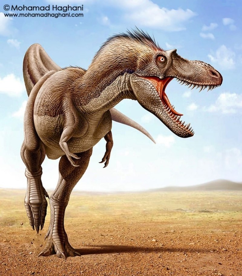 Gorgosaurus Libratus