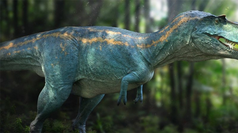 Альбертозавр динозавр