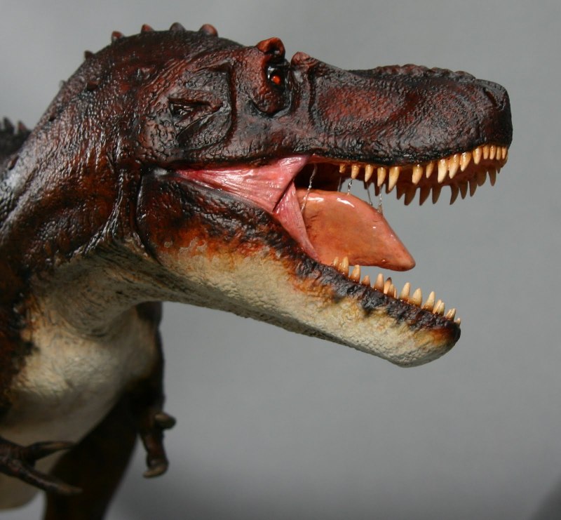 Горгозавр против альбертозавра