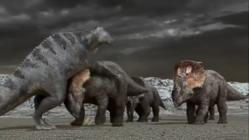 Горгозавр 2011