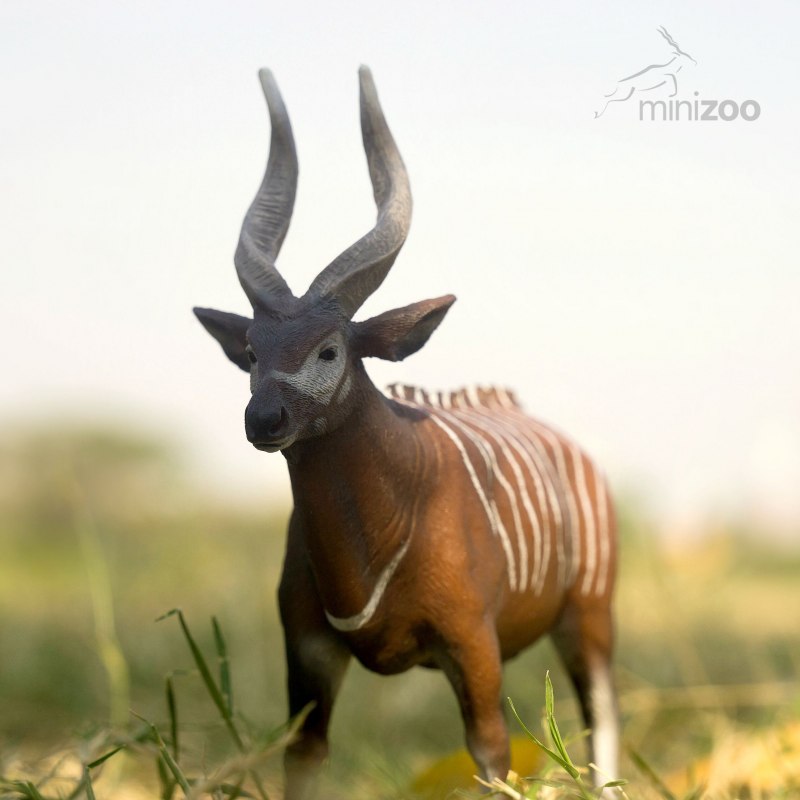 Антилопа во Вьетнаме