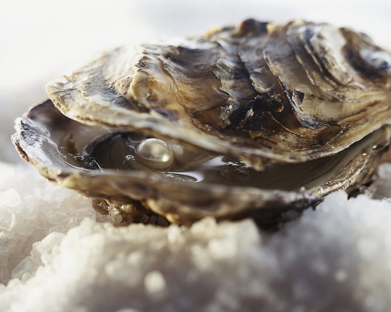 Европейская Жемчужница