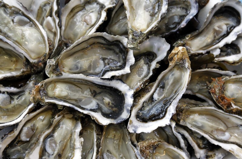 Устрица Намибия