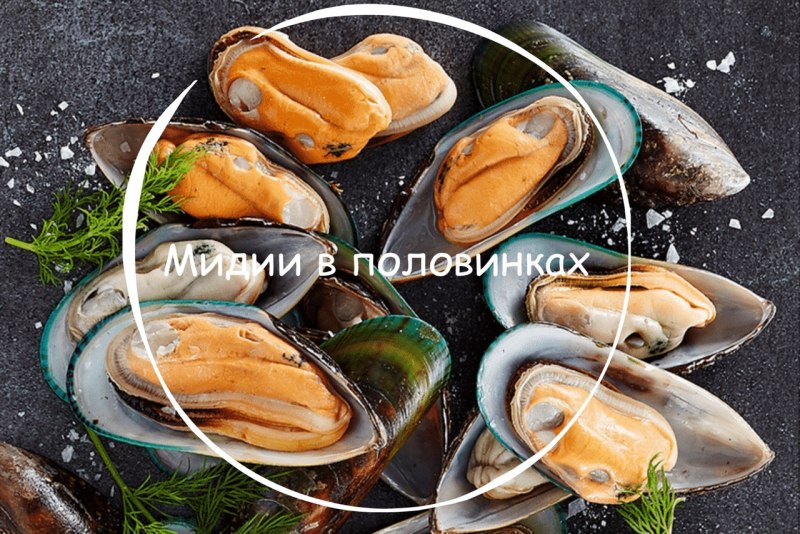 Двустворчатые моллюски мидии