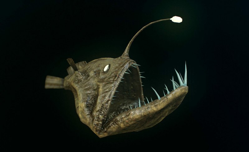 Морской черт глубоководный удильщик