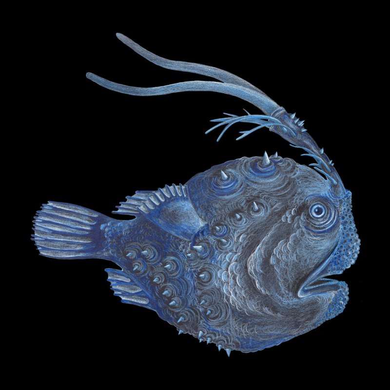 Глубоководная рыба удильщик