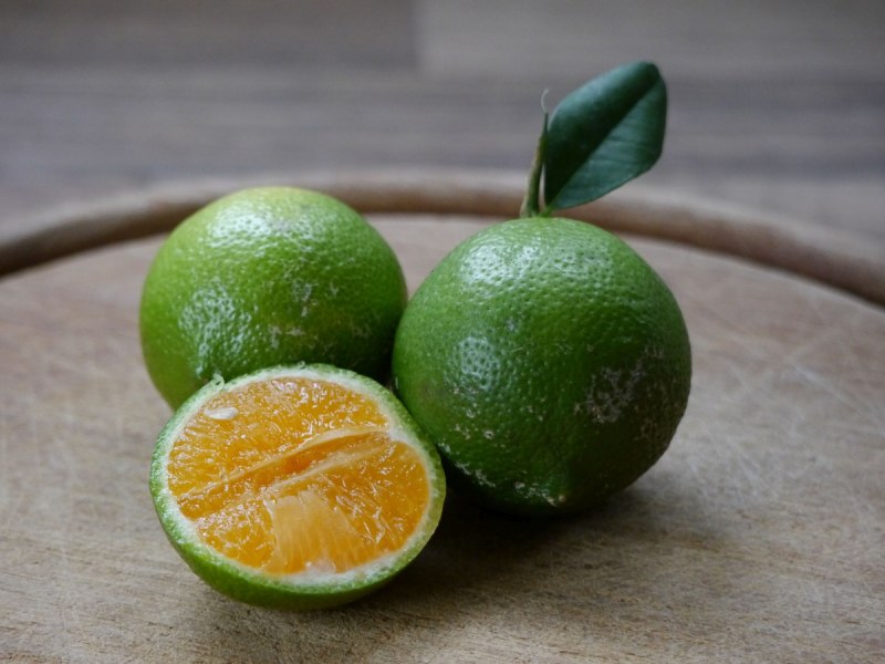 Лайм Рангпур