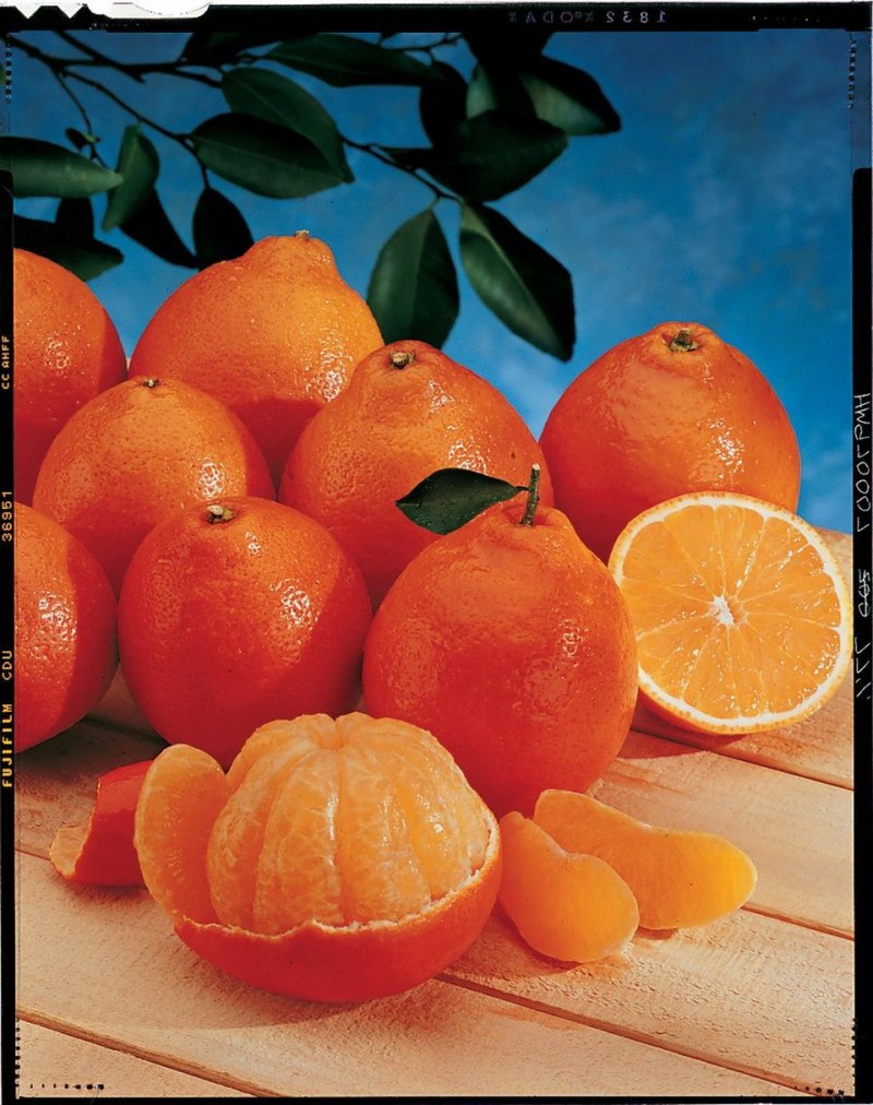 Кровавый Сицилийский апельсин