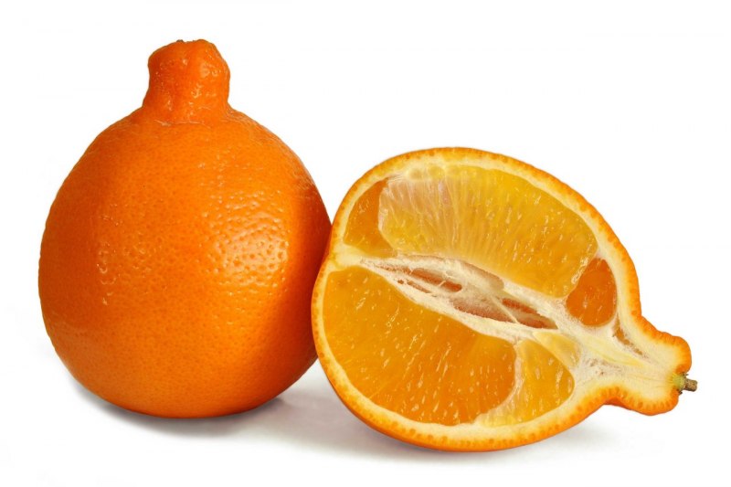 Лимон скрещенный с мандарином