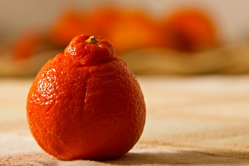 Минеола цитрус