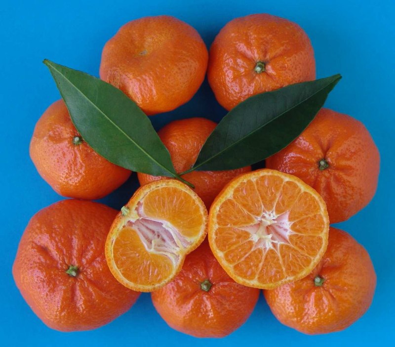 Тангор мандарин